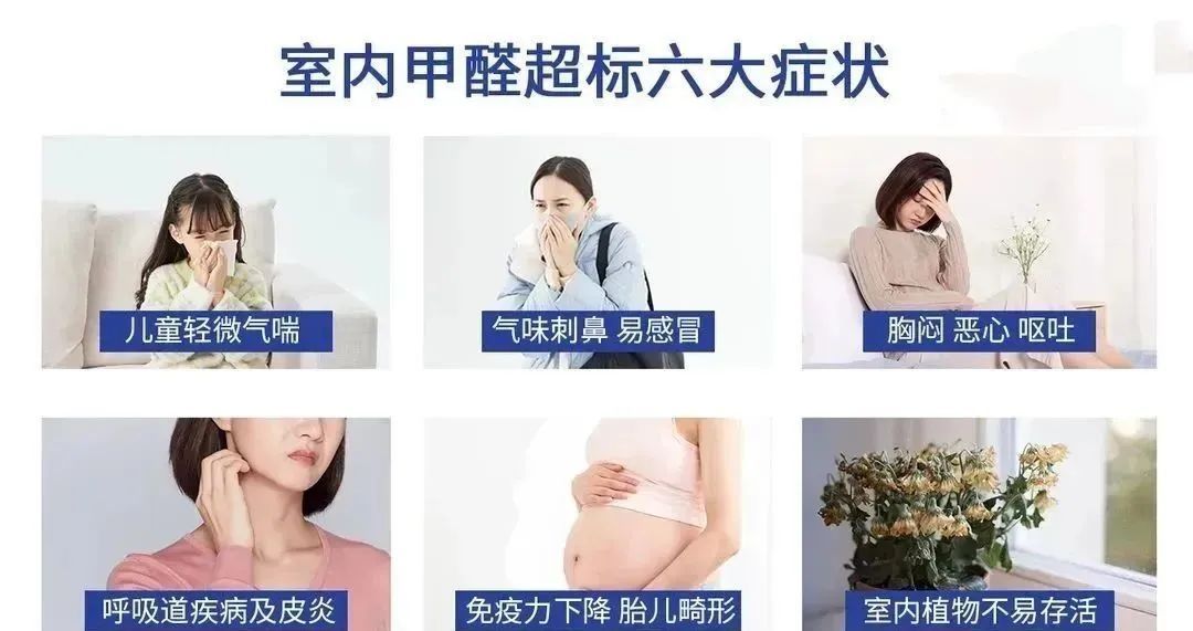 西安除甲醛公司十大排名,武汉除甲醛公司十大排名