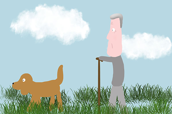 散步是最好的锻炼方式吗,散步是最好的健康