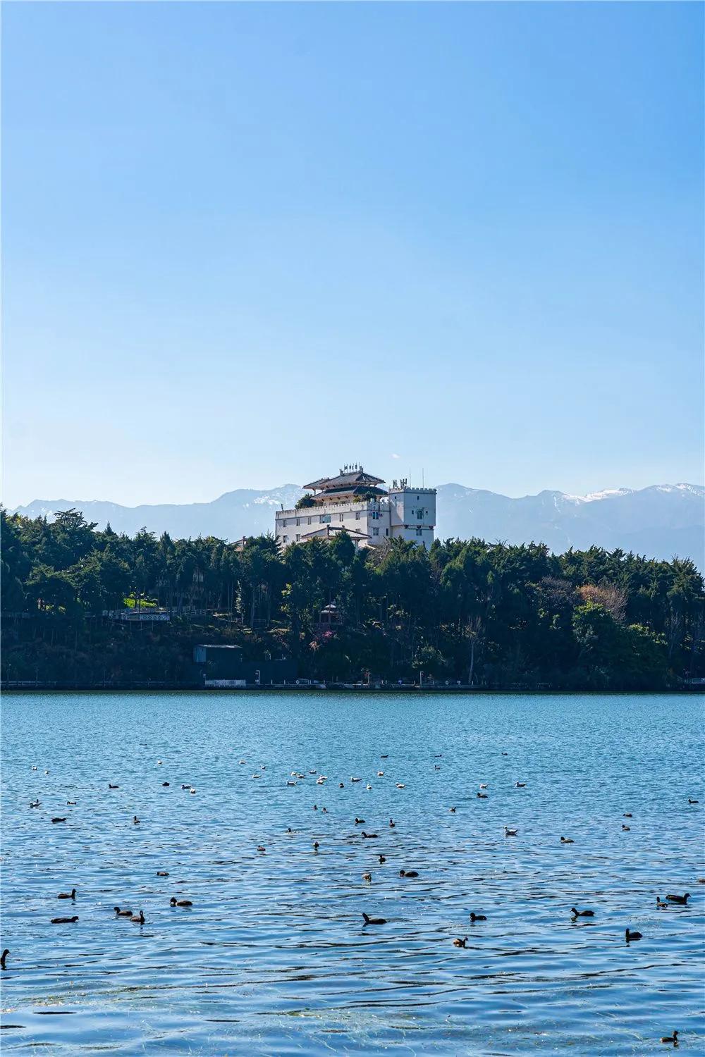 带你去双廊,住在浪漫的双廊洱海边看风景