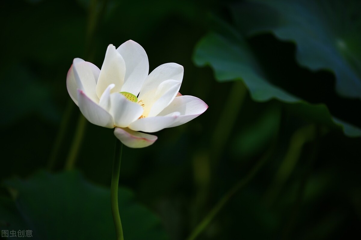 一场突如其来的葬礼后，我用这3点，治愈我自己
