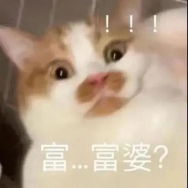 吃瓜群众表情包二次元,吃瓜群众表情包是什么意思