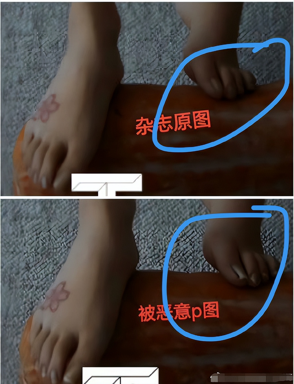 杨颖封面引热议,杨颖扔南瓜片段