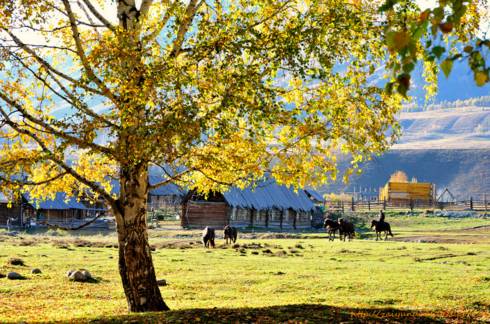 原来*疆新**这么大？终于知道为啥不包邮了...