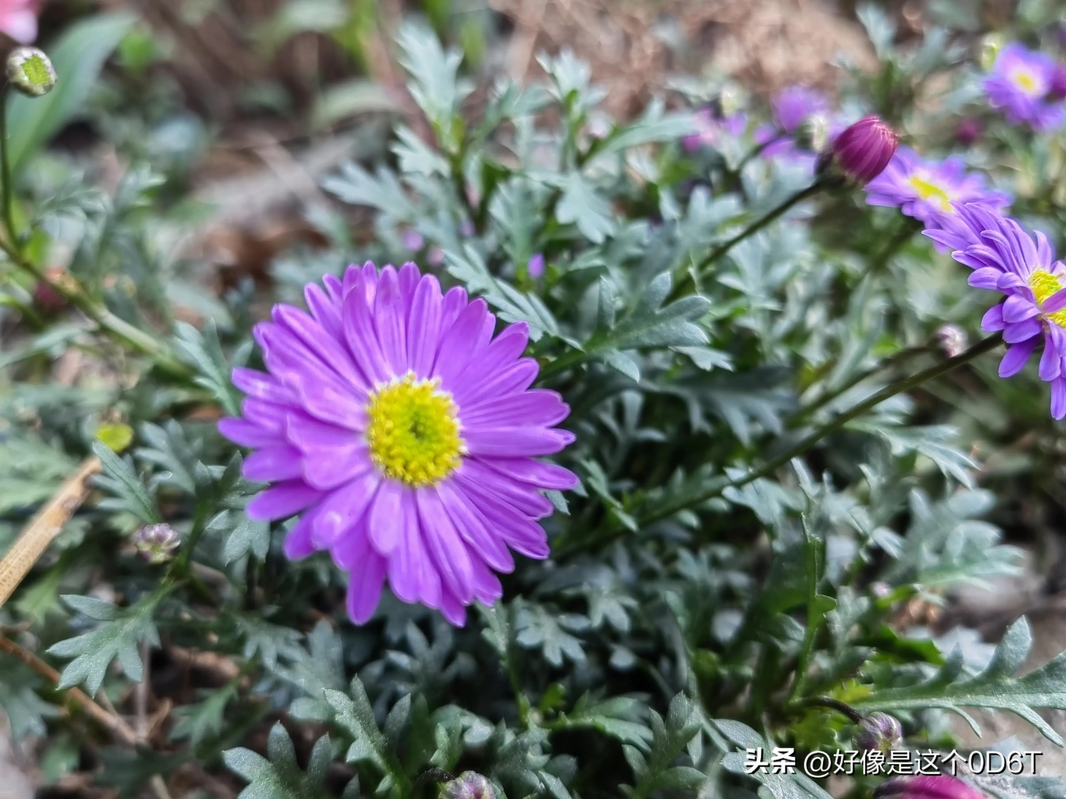 生活水平提高了幸福指数,生活水平提高了钱从哪里来的