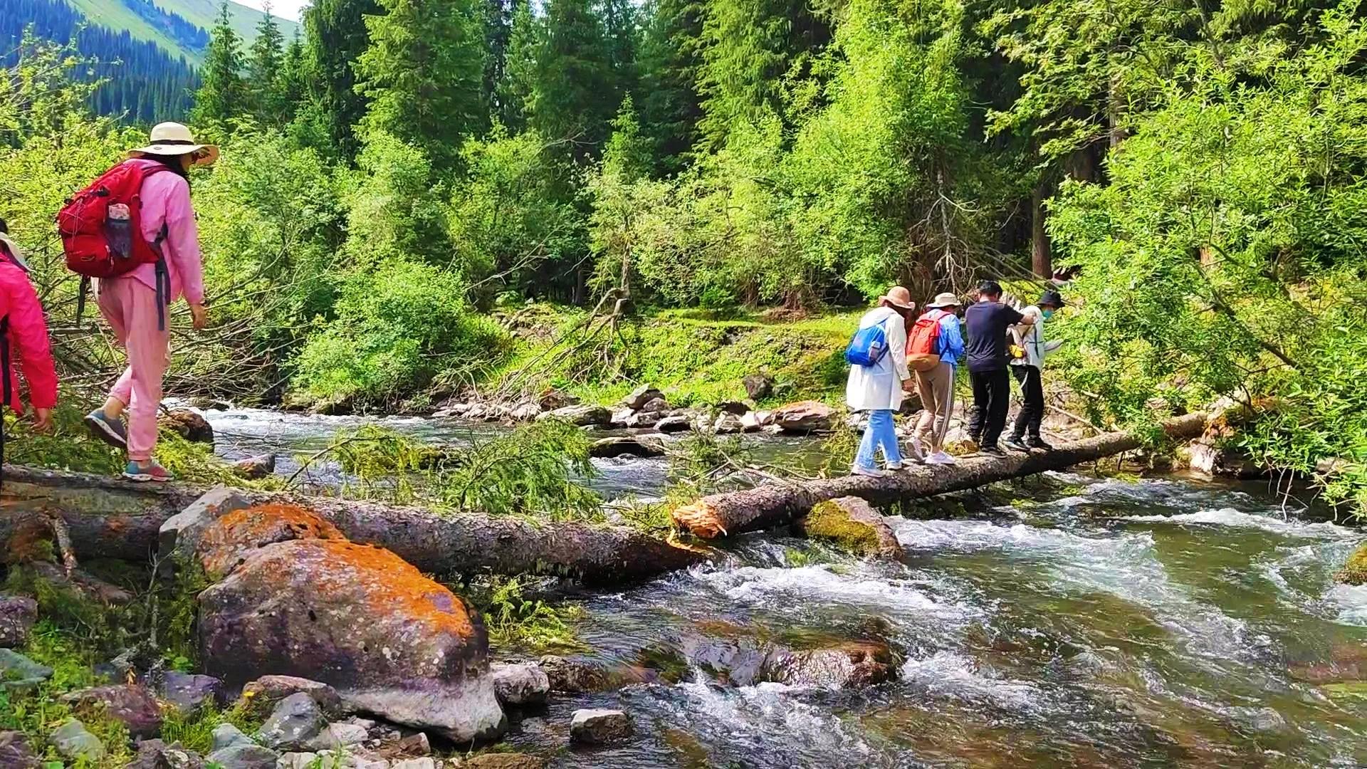 穿越森林探险视频,穿越森林探险之旅