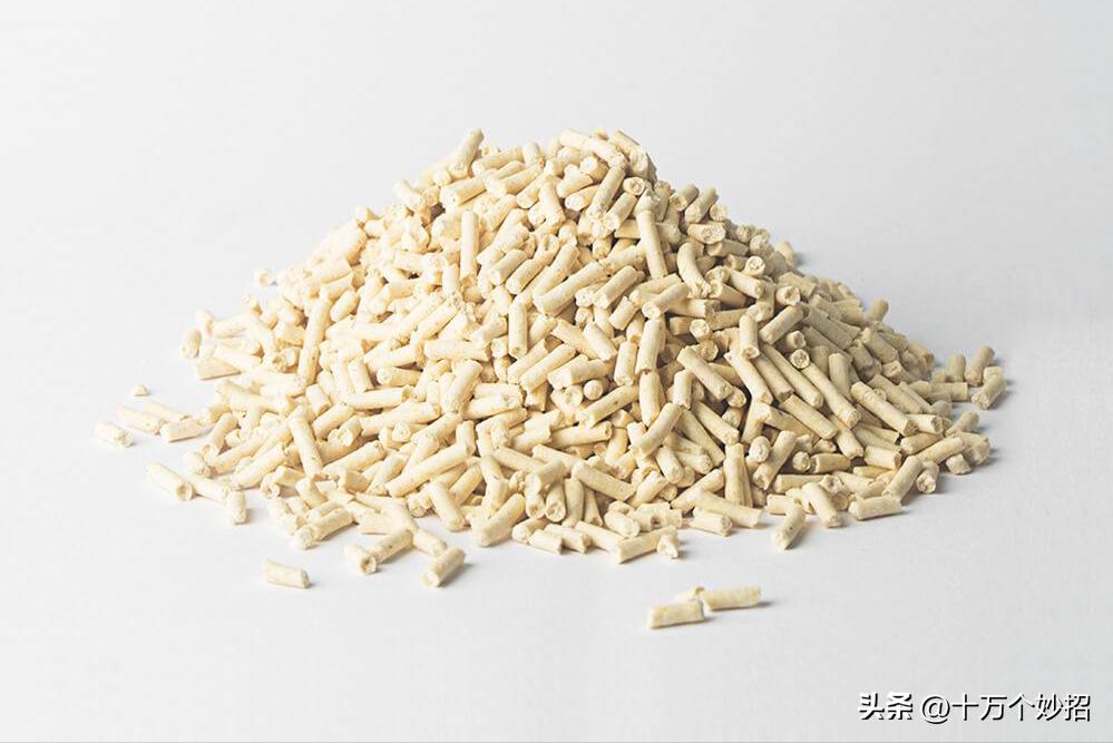 猫咪误食猫砂有怎样的后果 (猫咪用的猫砂有毒吗)