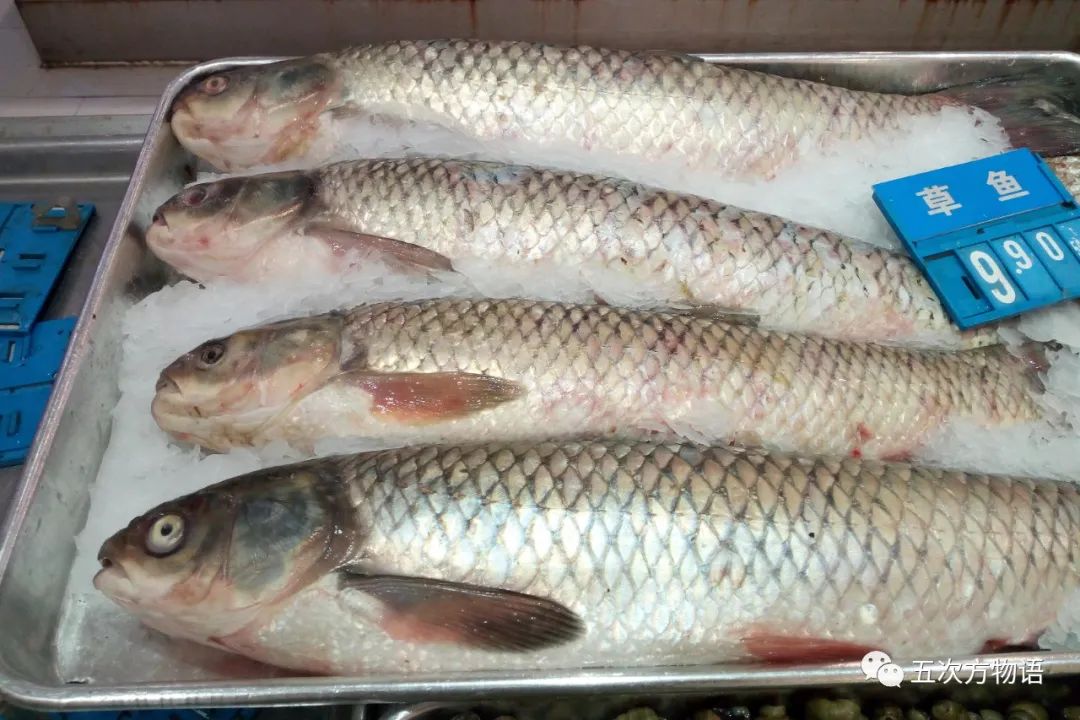 黑龙江三花五罗十八子图片,黑龙江名鱼三花五罗