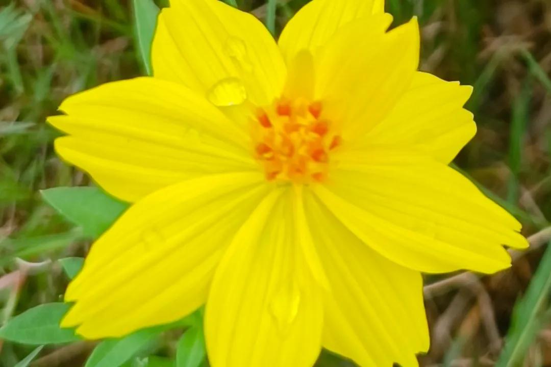 拉筋治好了一身的疾病,坚持拉筋20年变化