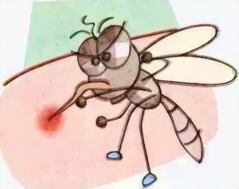 除四害的实用方法,广东上门除四害技巧