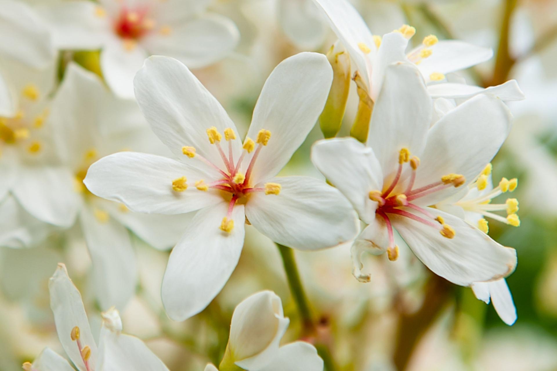 清明节祭祀朋友注意事项,清明节如何祭祀对故去的人最好