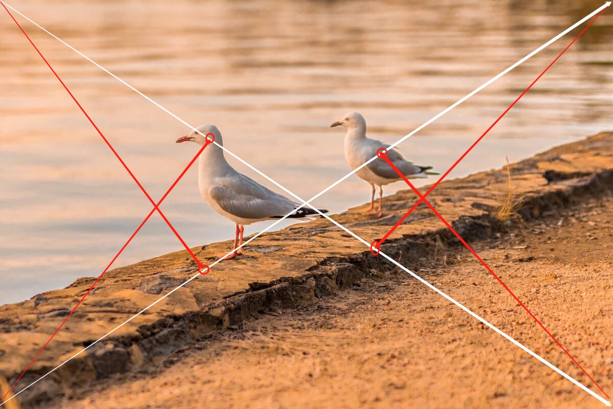 摄影的黄金分割构图法,摄影横向构图和纵向构图的特点