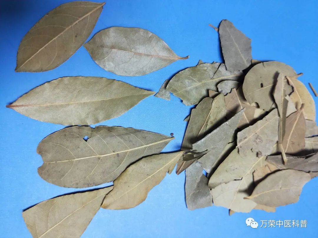 既是中药又是调味品都有哪些,中药调味料有哪些