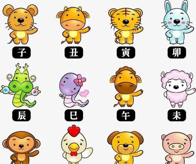 一年不等于一岁，所以说你知道你属什么吗？