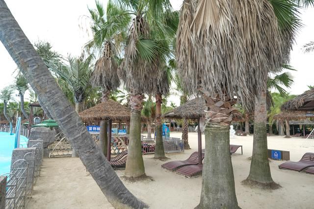 水上大型游乐场,大型水上乐园1000平方