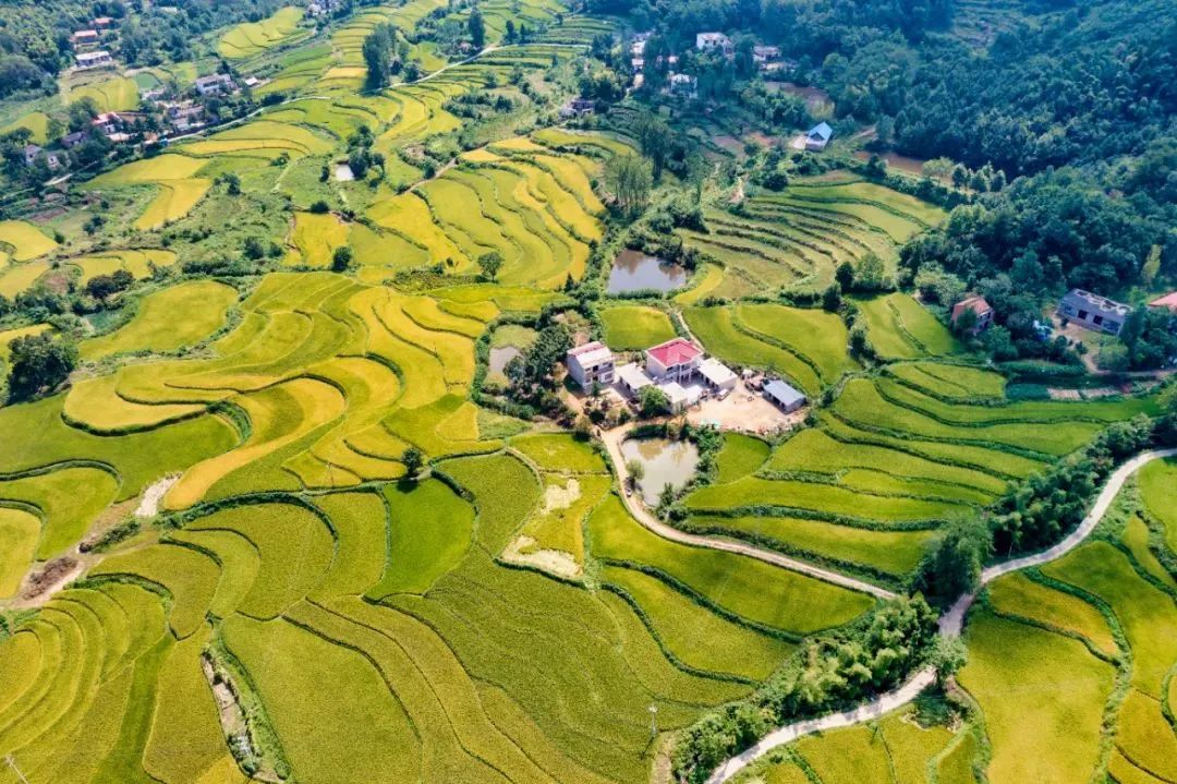 信阳十大旅游乡村,信阳周边乡村旅游景点推荐