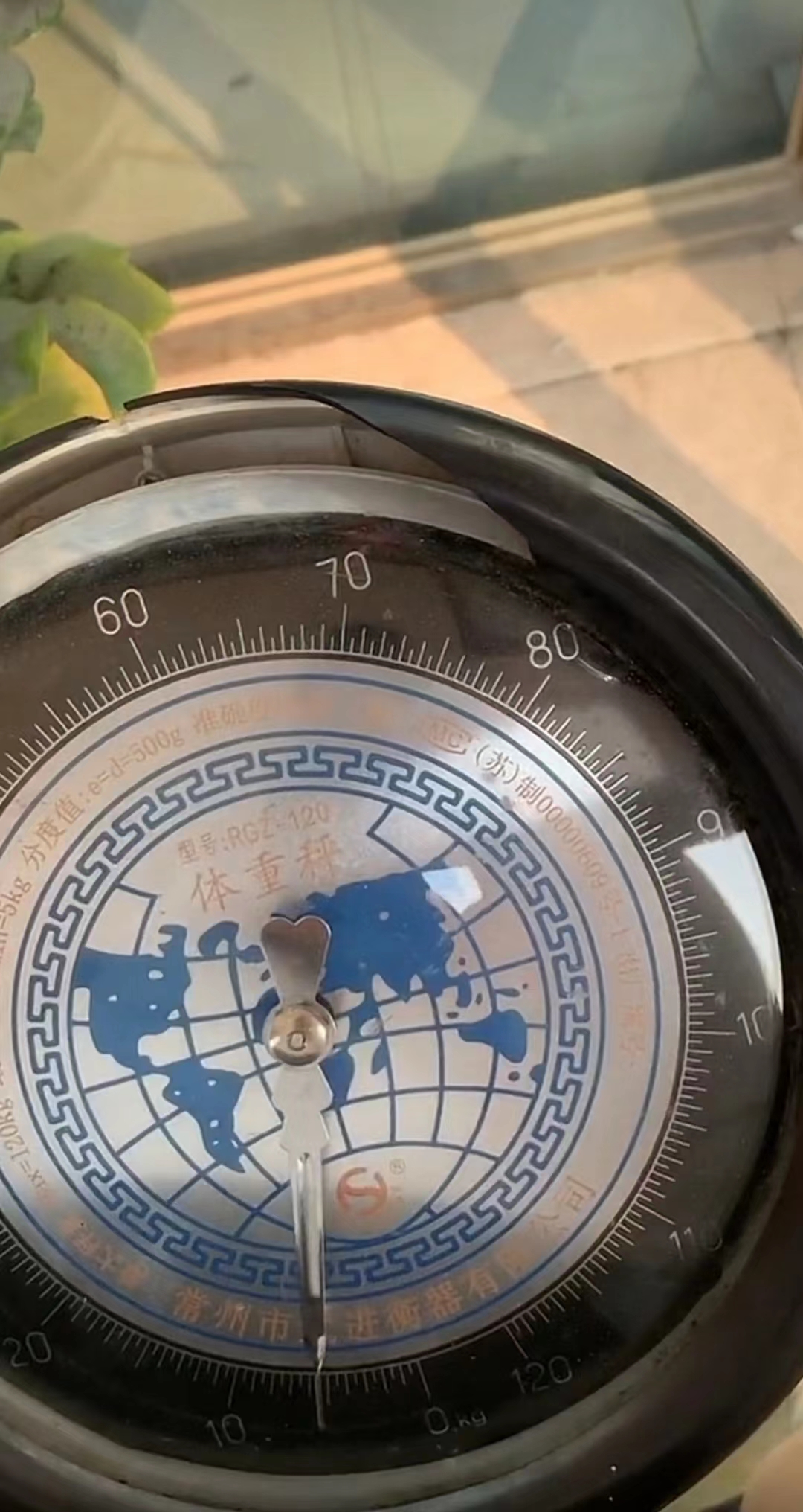 女网红肥肥,250斤的网红肥肥