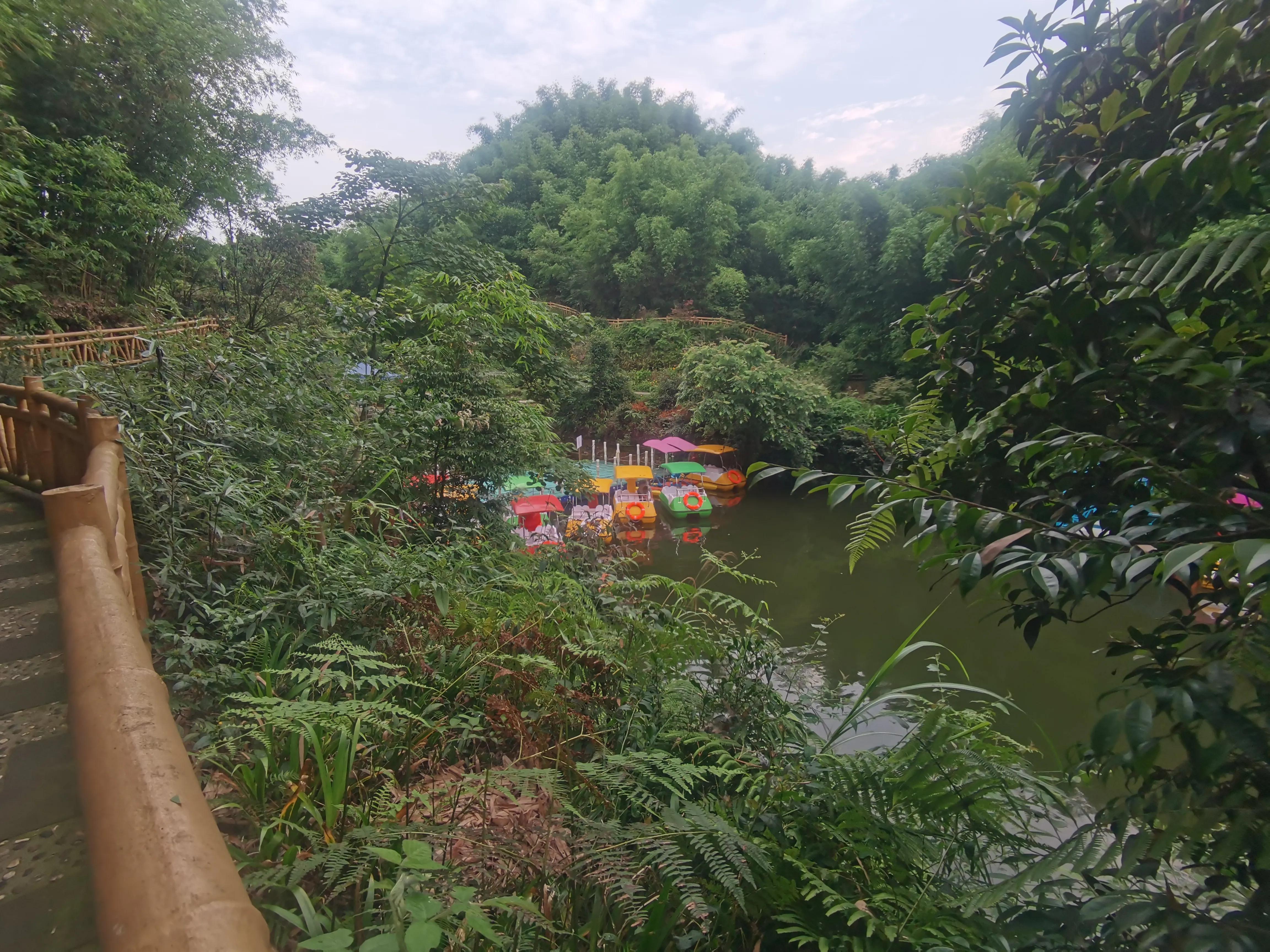 端午游竹园风景,端午节去轿子山赏杜鹃花海