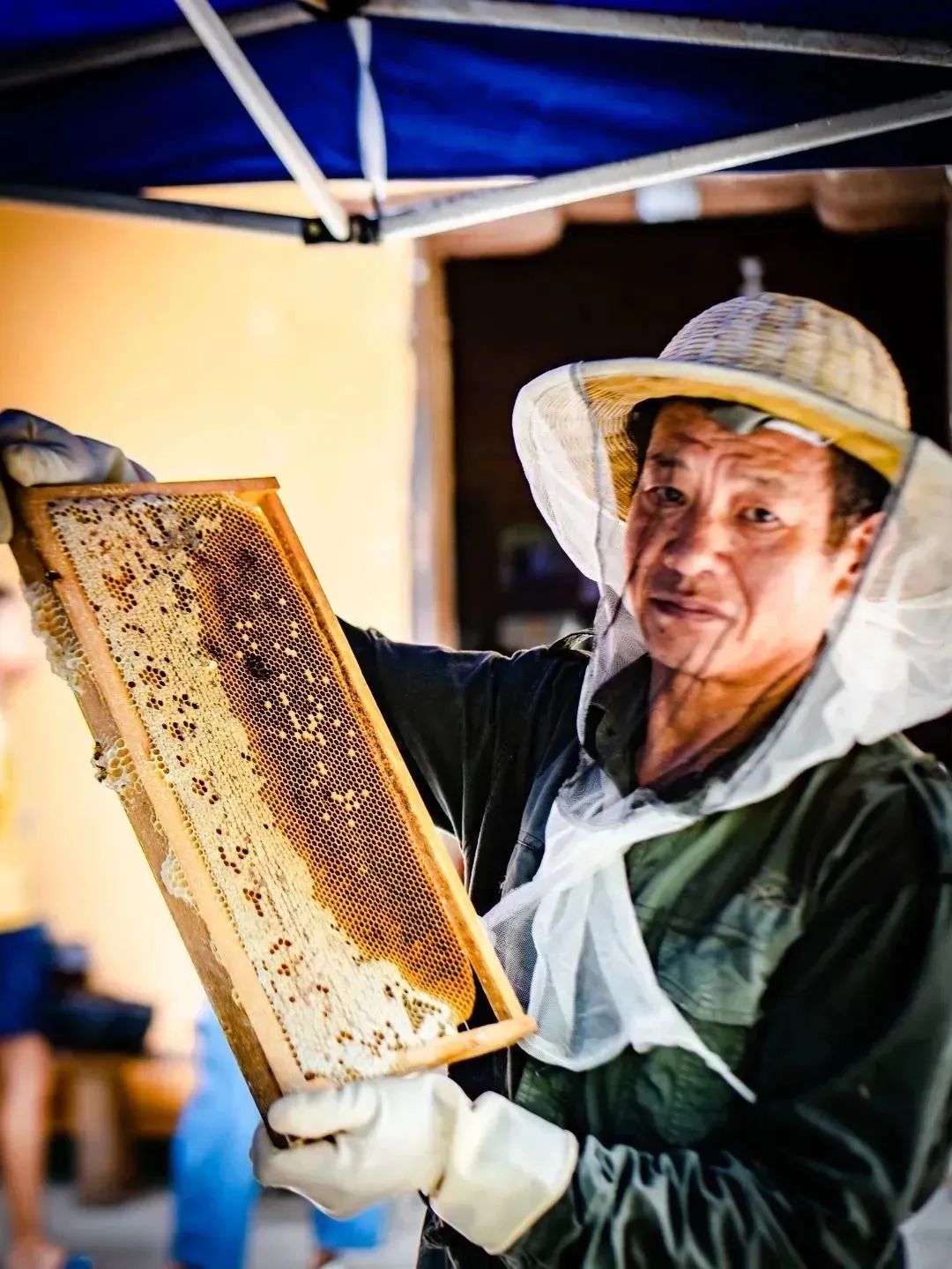 【上饶天下SHOW之广信区】中华蜜蜂谷:藏在五府山竹海密林中的蜜蜂“乐园”