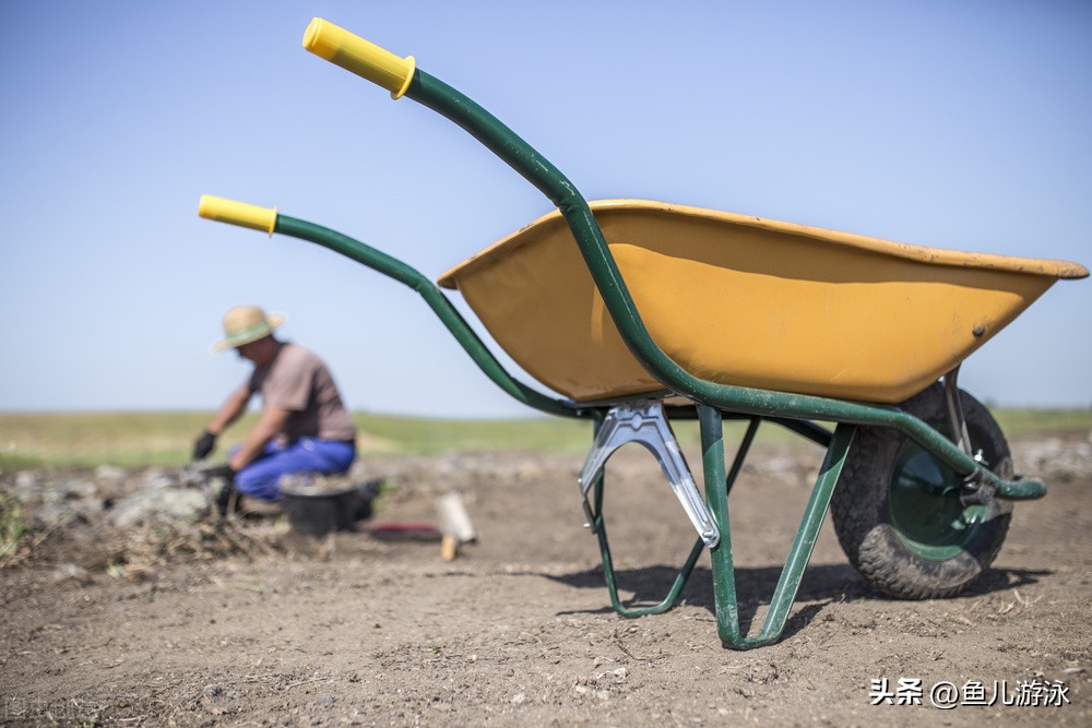 医学考研比较容易上岸的专业,考研最好考的十大专业一览表