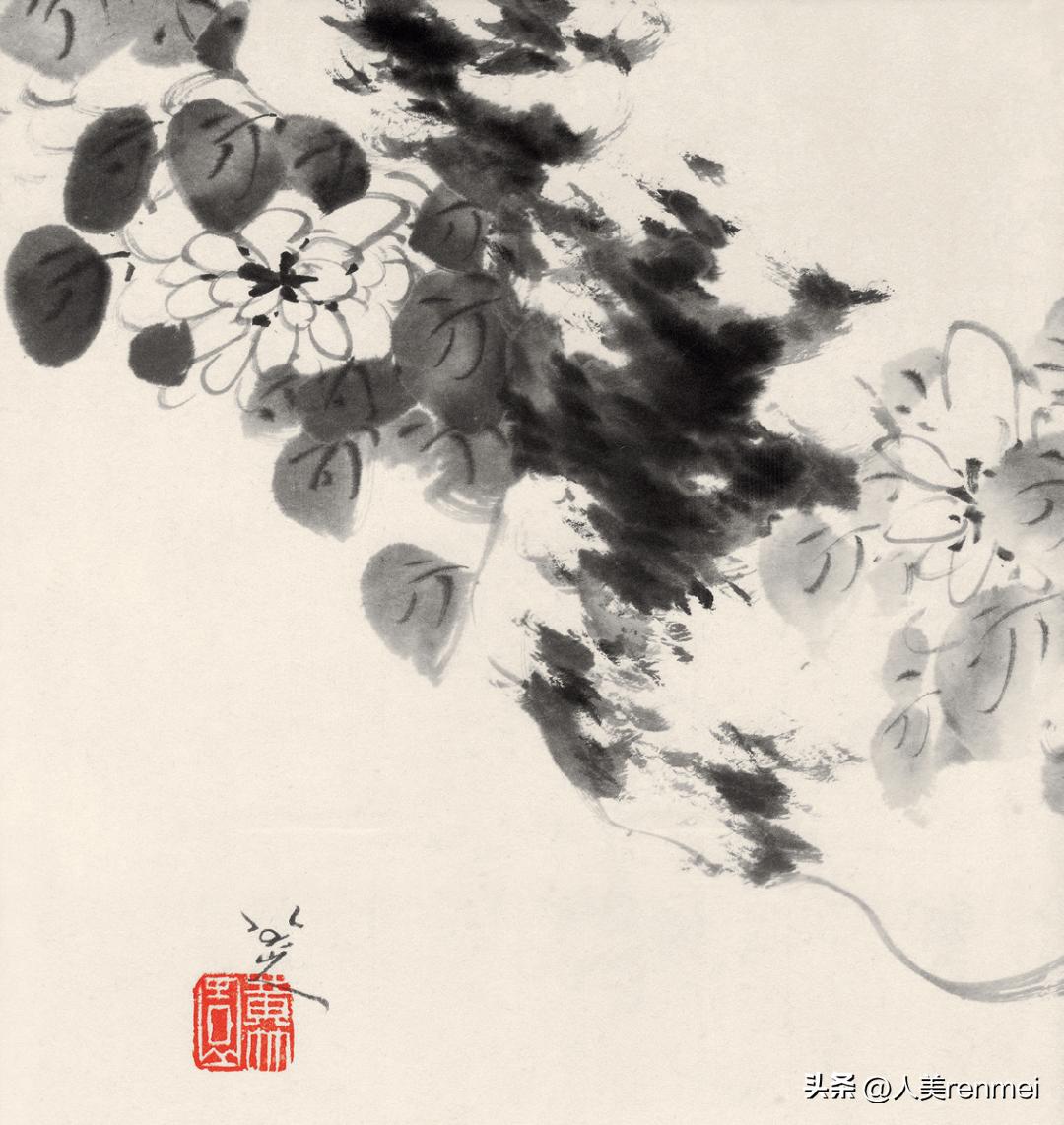 每周一堂美育课|《花中君子——菊》