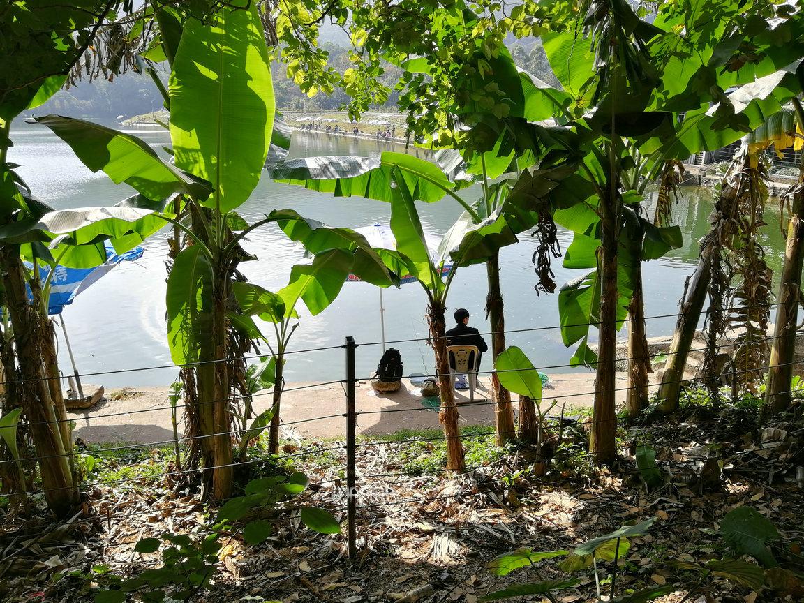 广州一日游最佳路线免费好玩景点,广州游玩景点一日游推荐路线