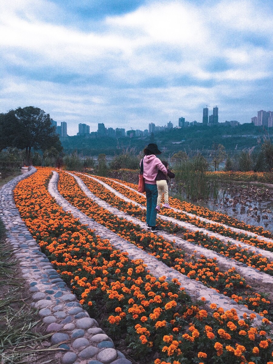 国内外最赚钱的小型农场,全国做得最好的几个精品农场