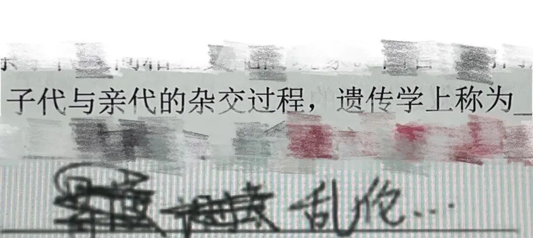 “儿子把女同学的裙子扒了？”​这孩子还能要吗？