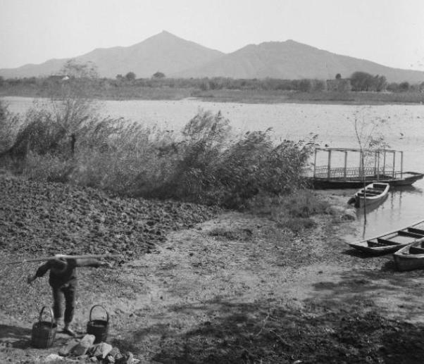 美国华裔老太太拿出慈禧手谕，声称*鱼岛钓**是她家的，最终结果怎样