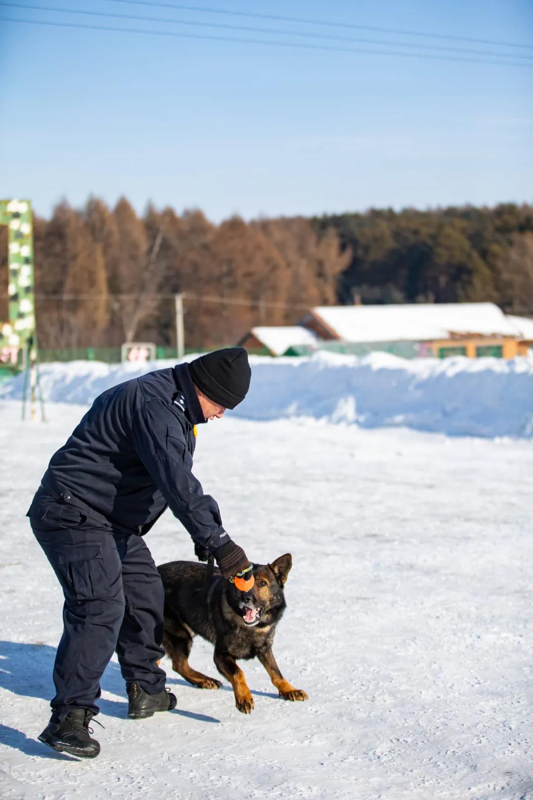 瀹堟姢涓囧骞冲畨闄ゅ澶滄淳鍑烘墍,瀹堟姢涓囧鍥㈠渾璀﹀療鏂囩珷