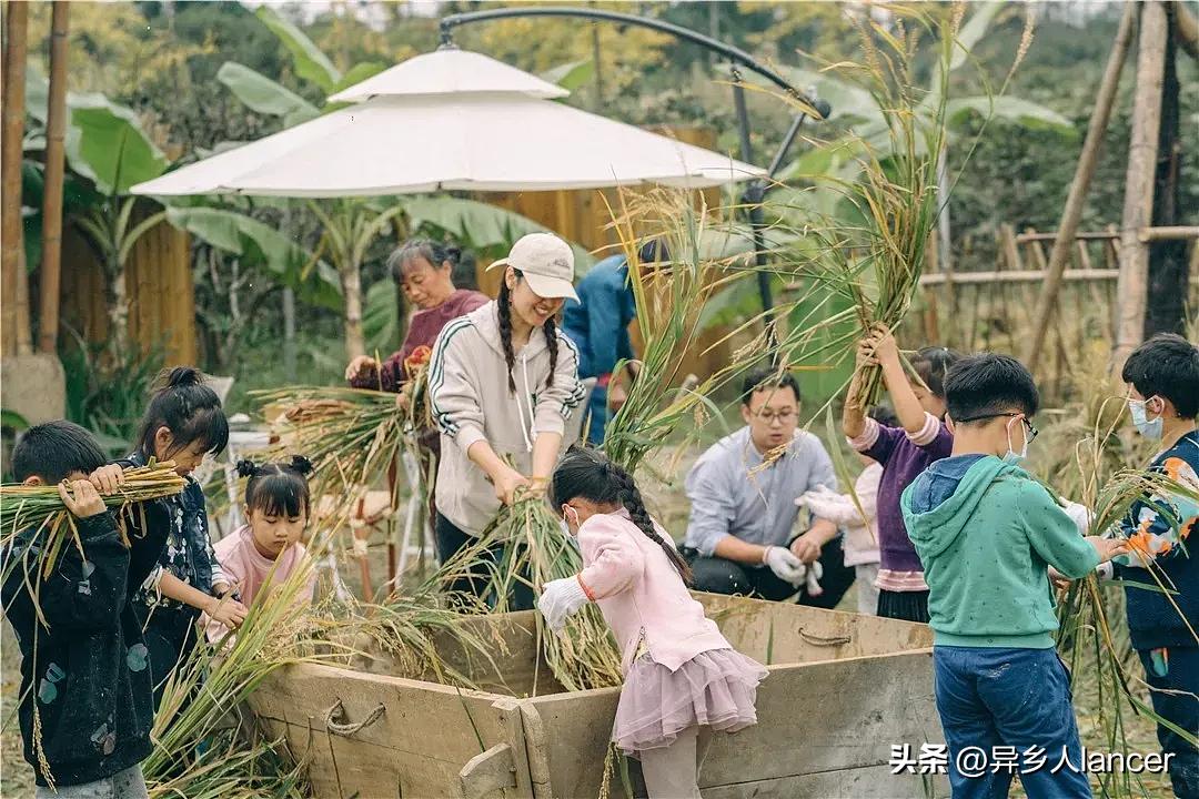 家庭农场：是否能成为乡村致富的新风口？