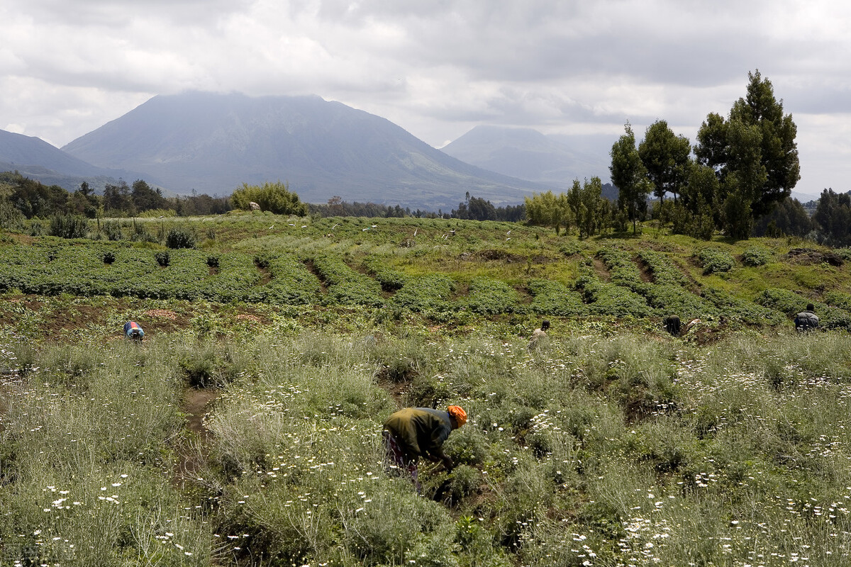 人生的十二种境界,人生心态最高境界