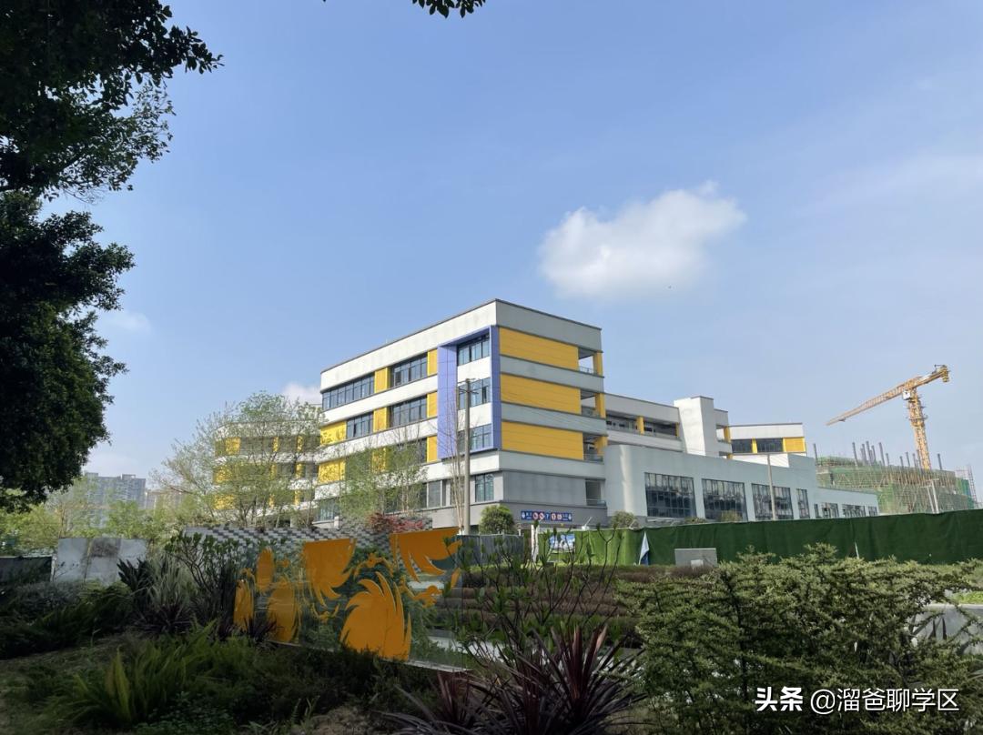 哪些小区可以读泸州七中,哪些小区上成都七中水井坊校区