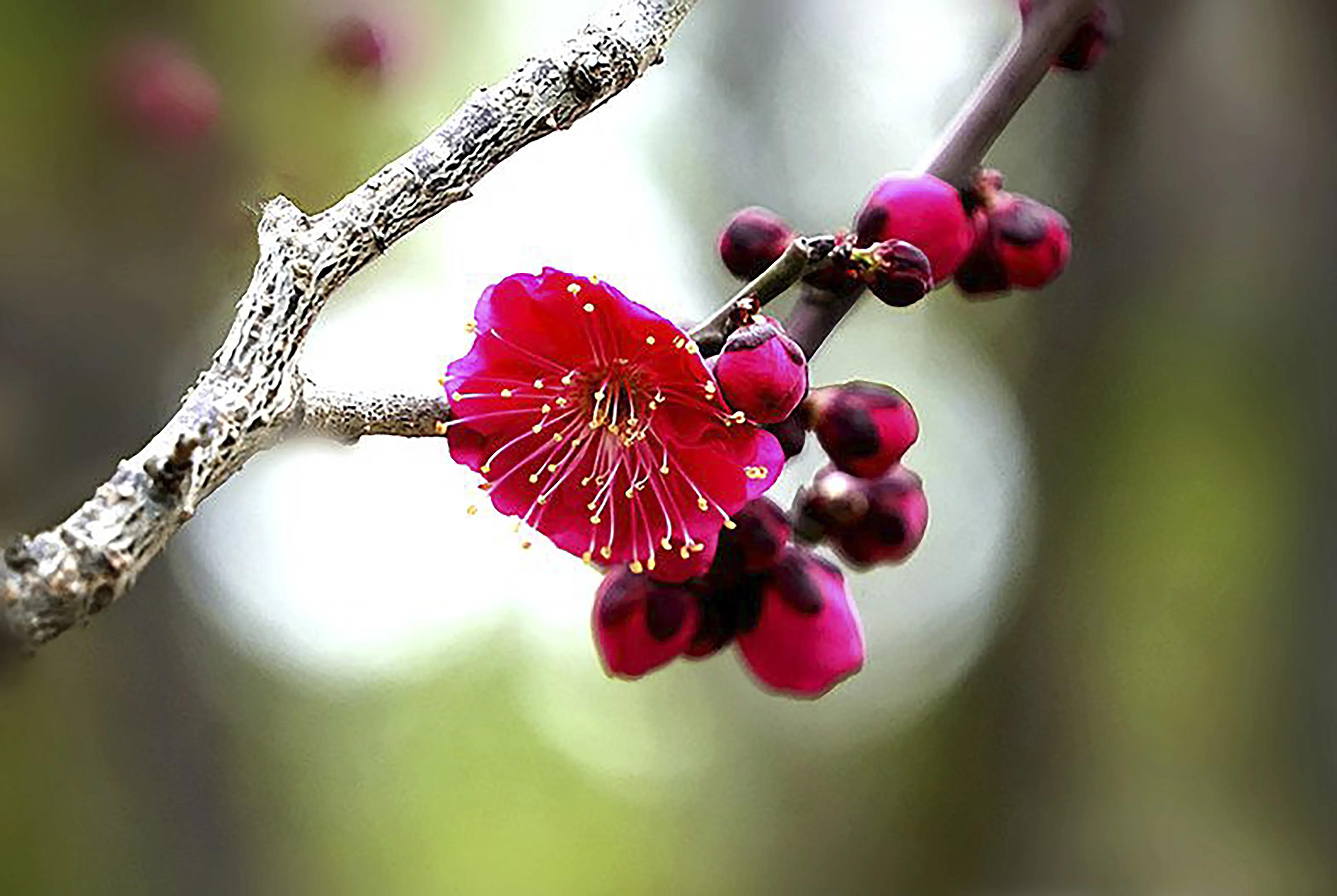 27届全国摄影艺术展评选结果组照,第二十八届全国摄影艺术展览征稿