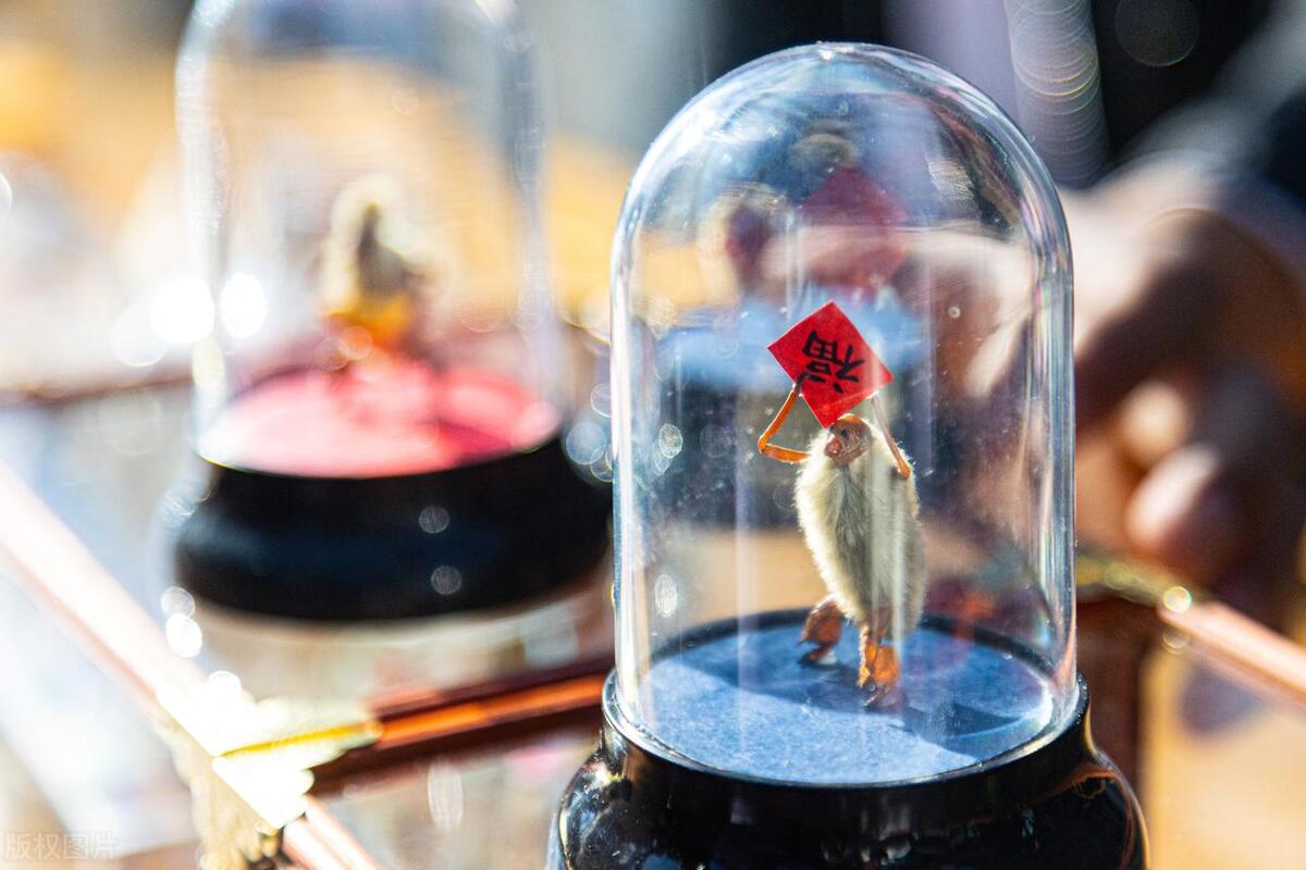 穷人没本钱怎么创业代理项目,穷人怎么创业致富最快的项目