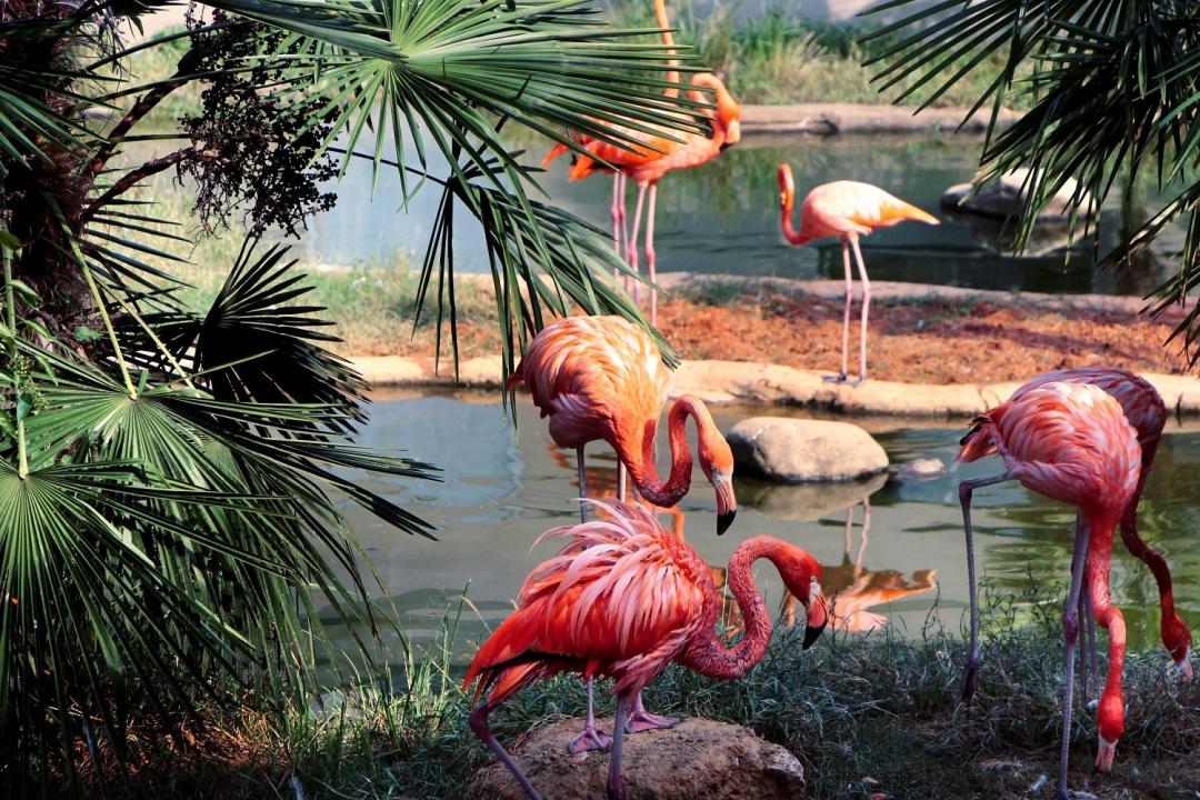 安吉旅游度假,安吉好玩还是千岛湖好玩