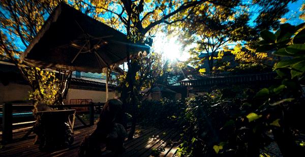 增城小众山野田园民宿,广州增城新晋网红民宿出炉