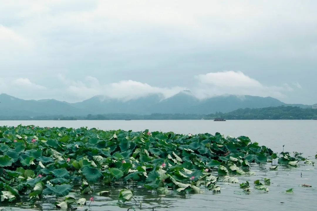 十年前的杭州西湖,几百年前的西湖是长什么样的