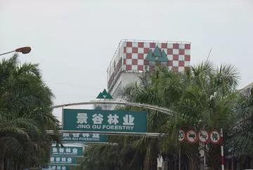 云南景谷林业公司怎么样,云南景谷林业股份