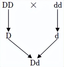 2021年甘肃省兰州市中考生物试卷