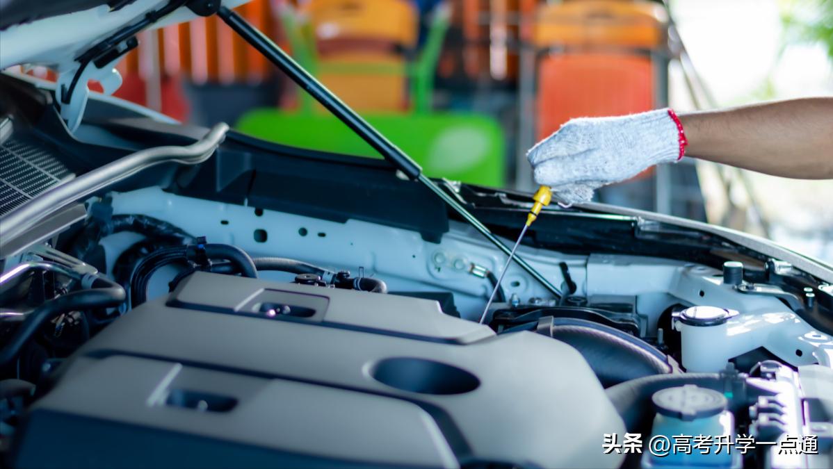 汽车服务工程专业参加考试,汽车服务工程专业学习方法