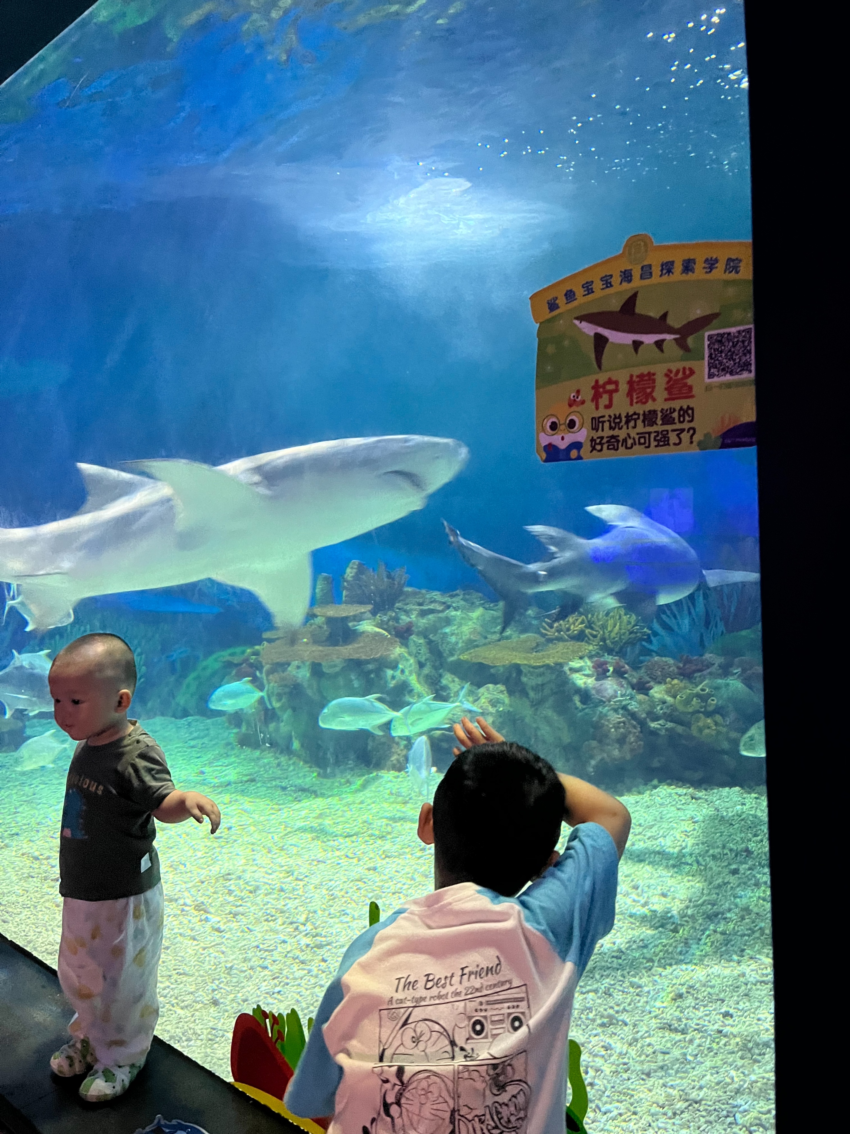 日本奥特曼主题公园旅游,上海奥特曼海昌海洋公园特惠门票