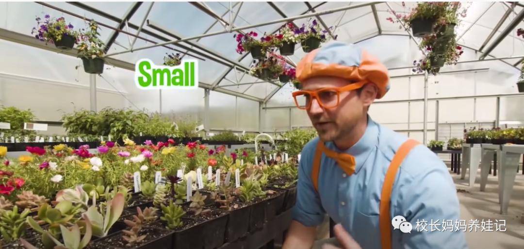 关于春天种植的英文儿歌,英文种植儿歌