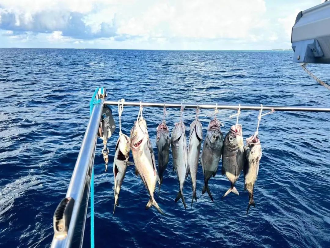 “真正远航的都是疯子！”但我无条件相信我的船长我的船