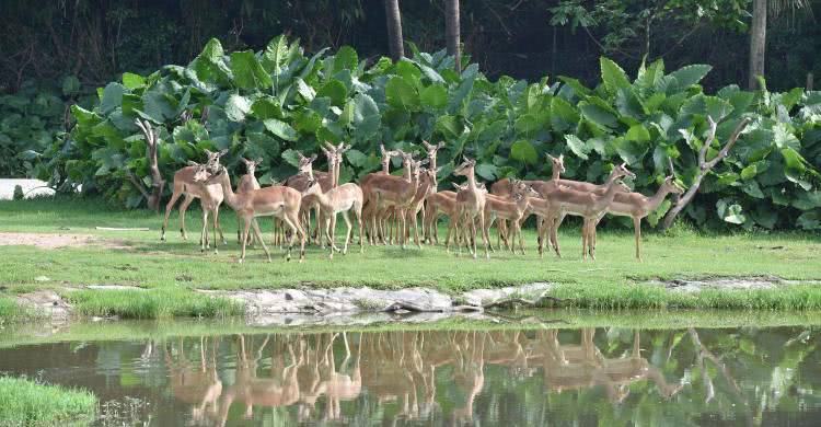 广州长隆酒店童趣乐园,广州游玩长隆性价比超高的酒店