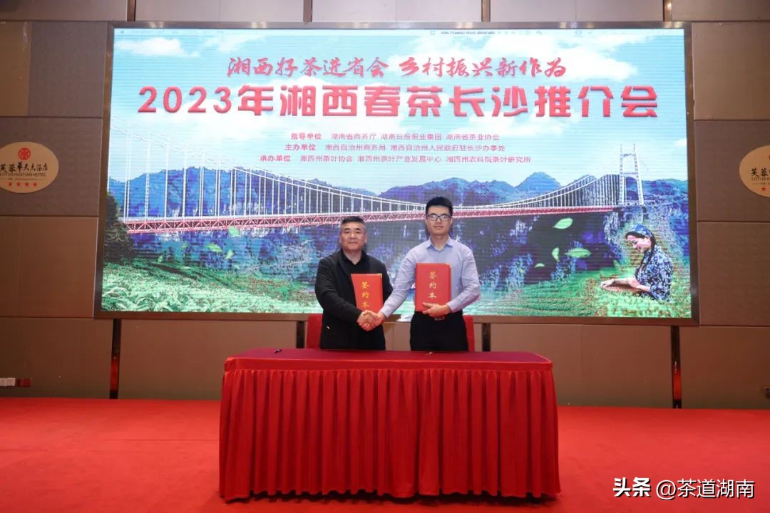 湖南长沙县春茶,2022湖南春茶总结