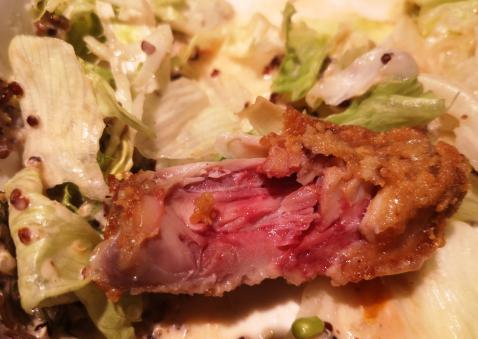 动物恶性肿瘤能吃吗,动物吃了肿瘤会怎样