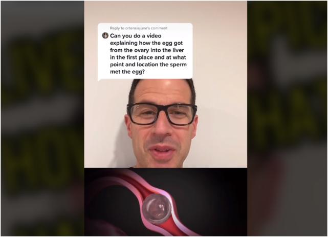 它也可以孕育生命?加拿大女子怀孕后子宫内不见胎儿,医生一看肝脏惊呆了