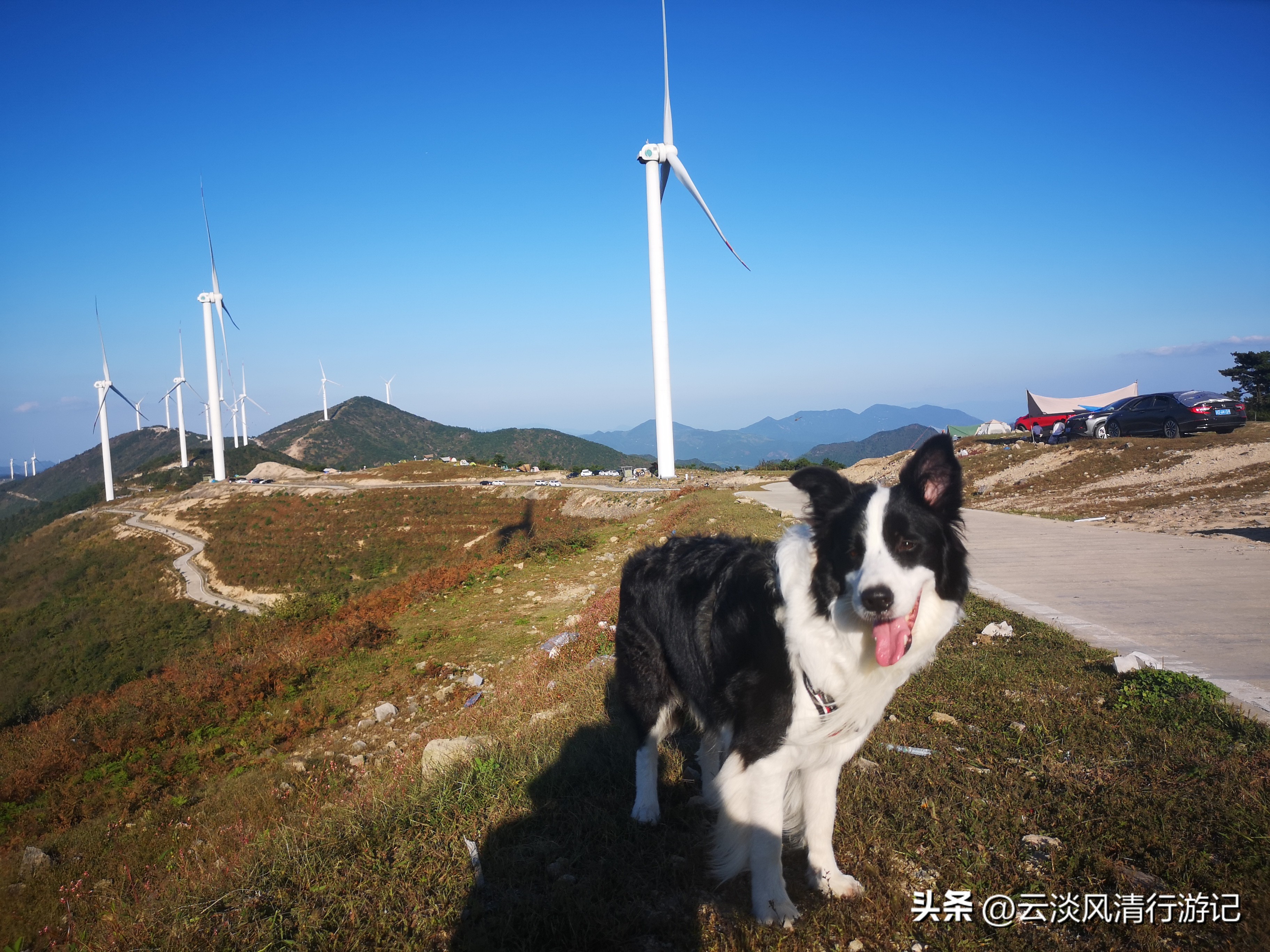 磐安青梅尖自驾游攻略,磐安青梅尖徒步