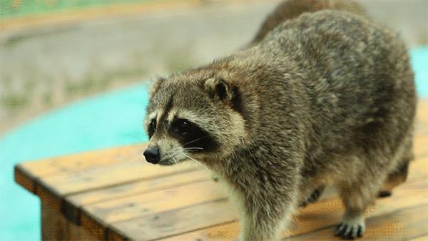 成都市暑假亲子游玩地点推荐,暑假成都亲子游推荐景点