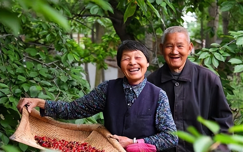 年纪大了有老人味是什么原因,30多岁就有老人味是什么原因